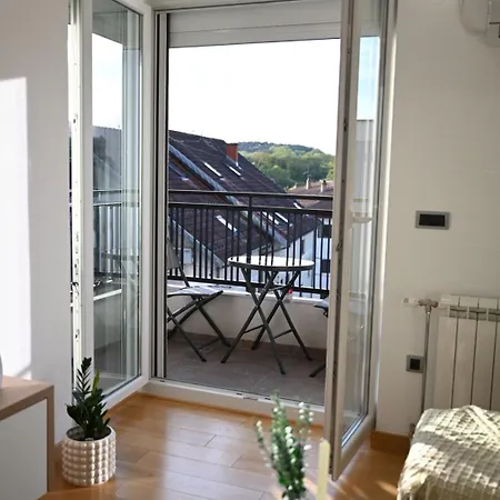 Aleksa 5 * Vrnjačka Banja