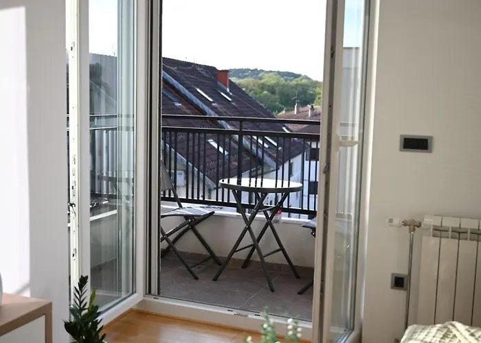 Aleksa 5 * Vrnjačka Banja